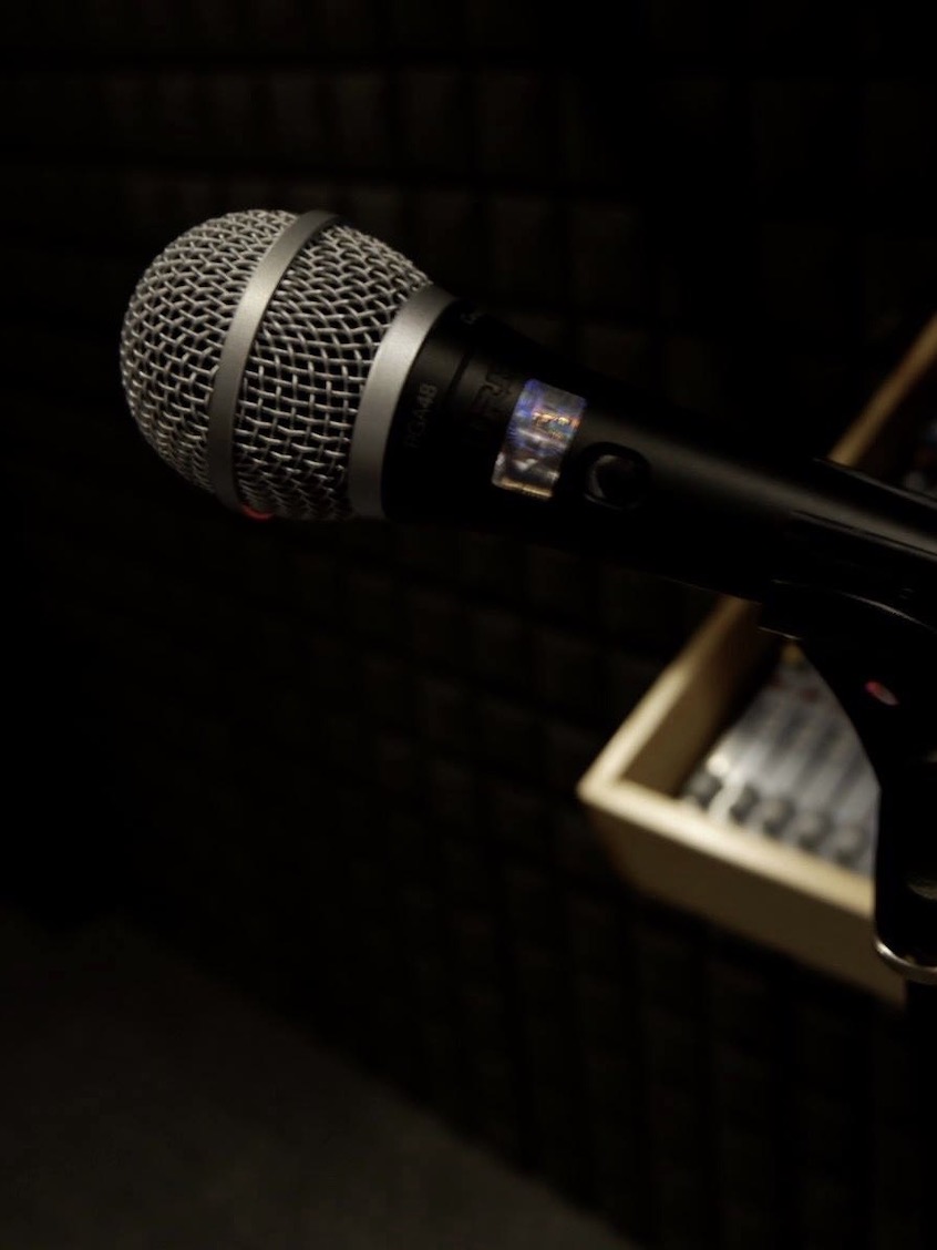 Shure Mic